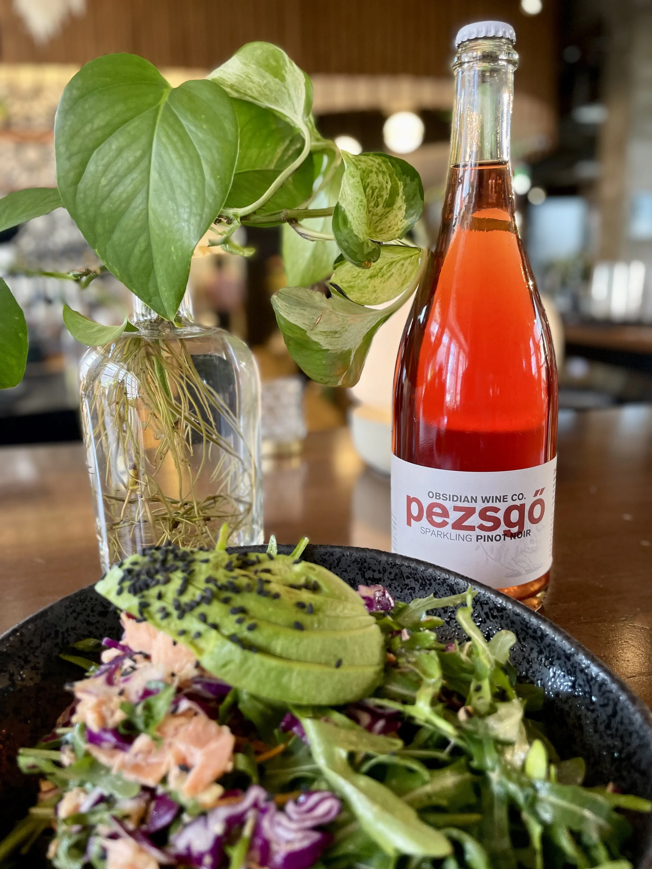 Obsidian Wine Co. 'Pezsgő' Pinot Noir Pet Nat 2022<br/> — The Wine